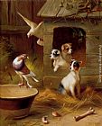 Edgar Hunt Pigeons And Puppies painting
